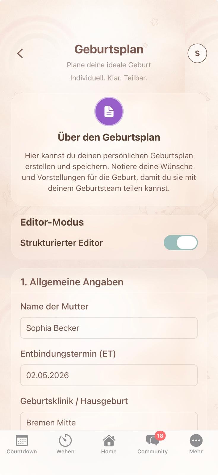 Lotti Baby App – Geburtsplan